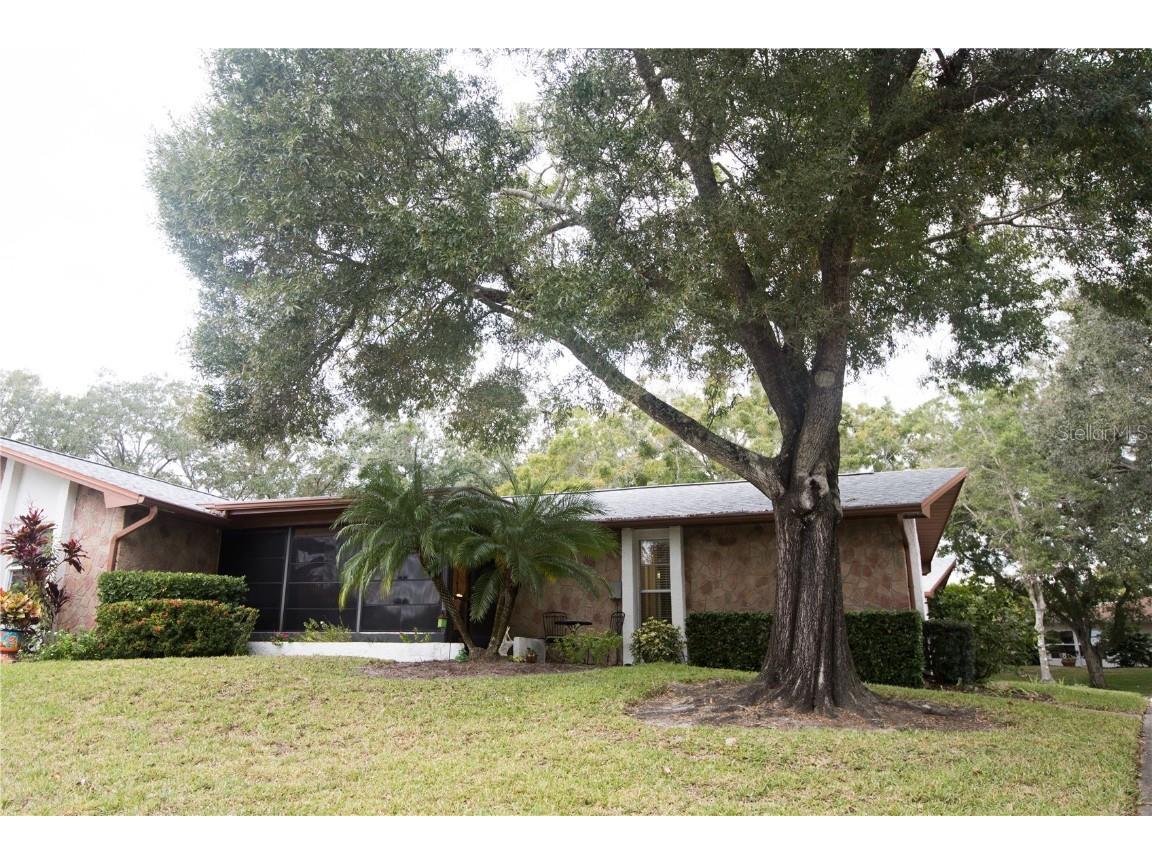 2280 Shelly Drive #A Palm Harbor FL 34684 U8223428 image1