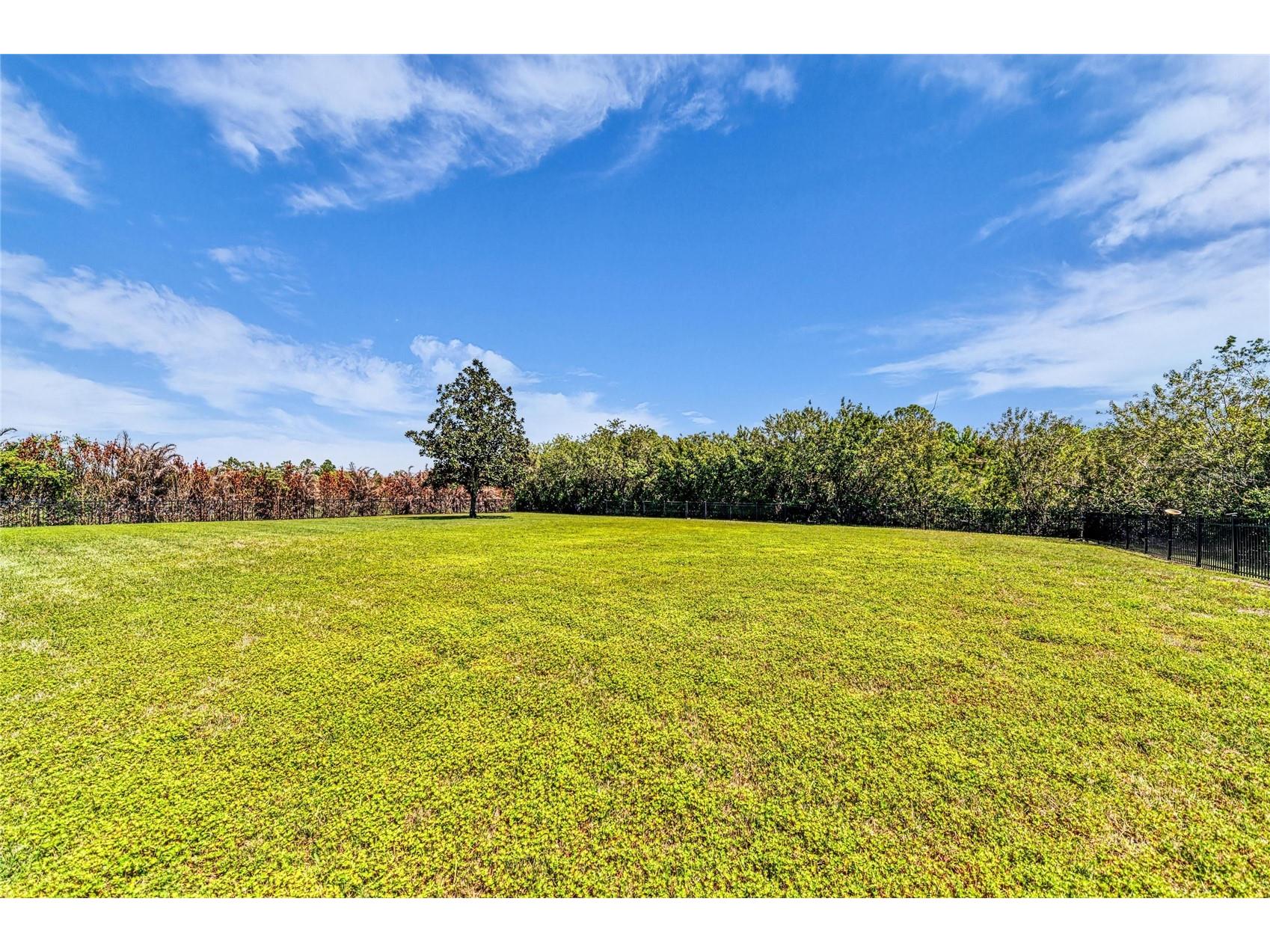 22805 Night Heron Way Bradenton FL 34202 A4685448 image80