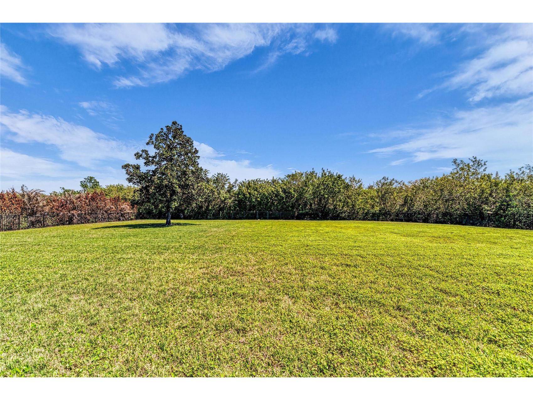 22805 Night Heron Way Bradenton FL 34202 A4685448 image83