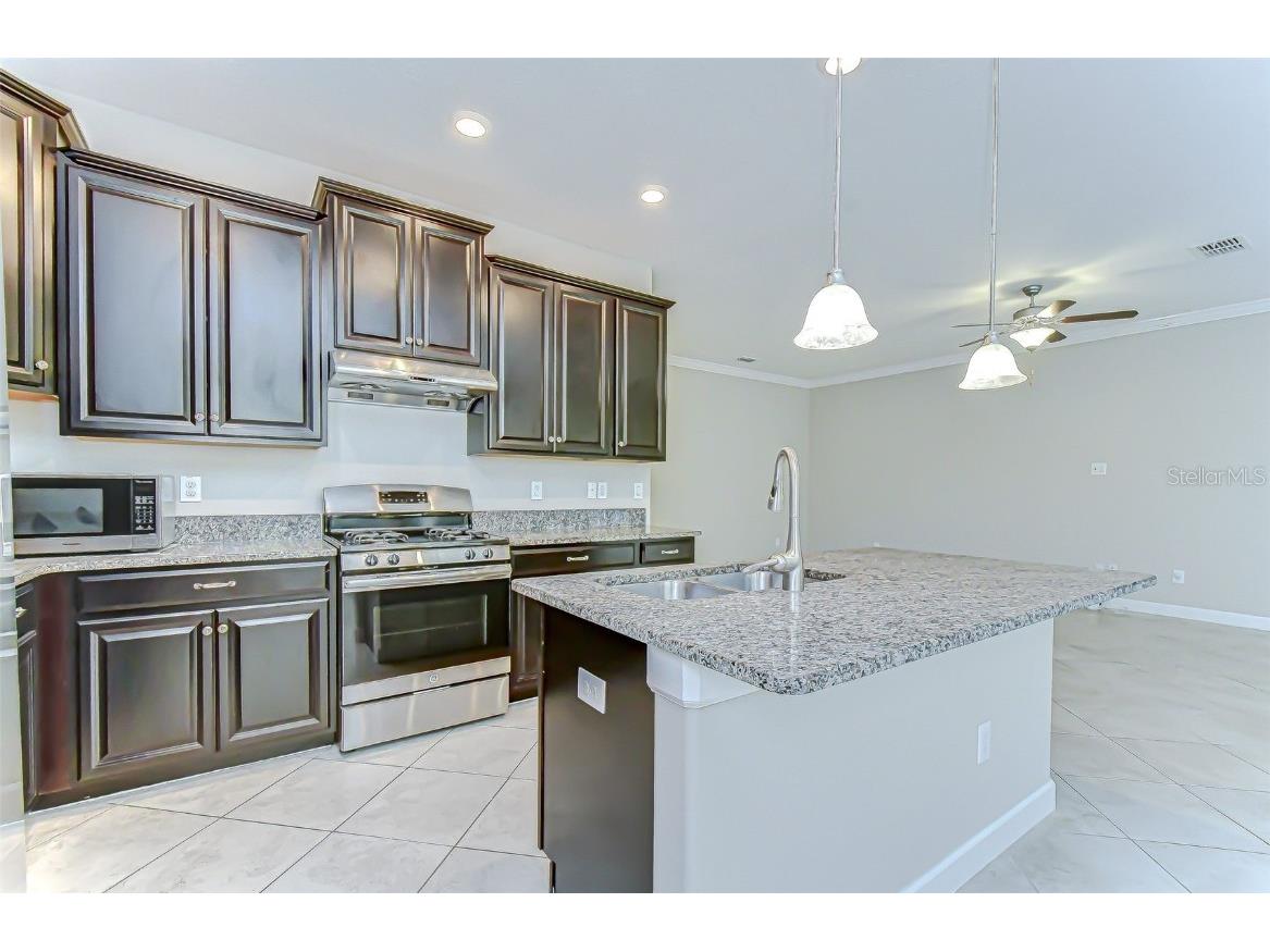 2281 Livorno Way Land O Lakes FL 34639 TB8453114 image25