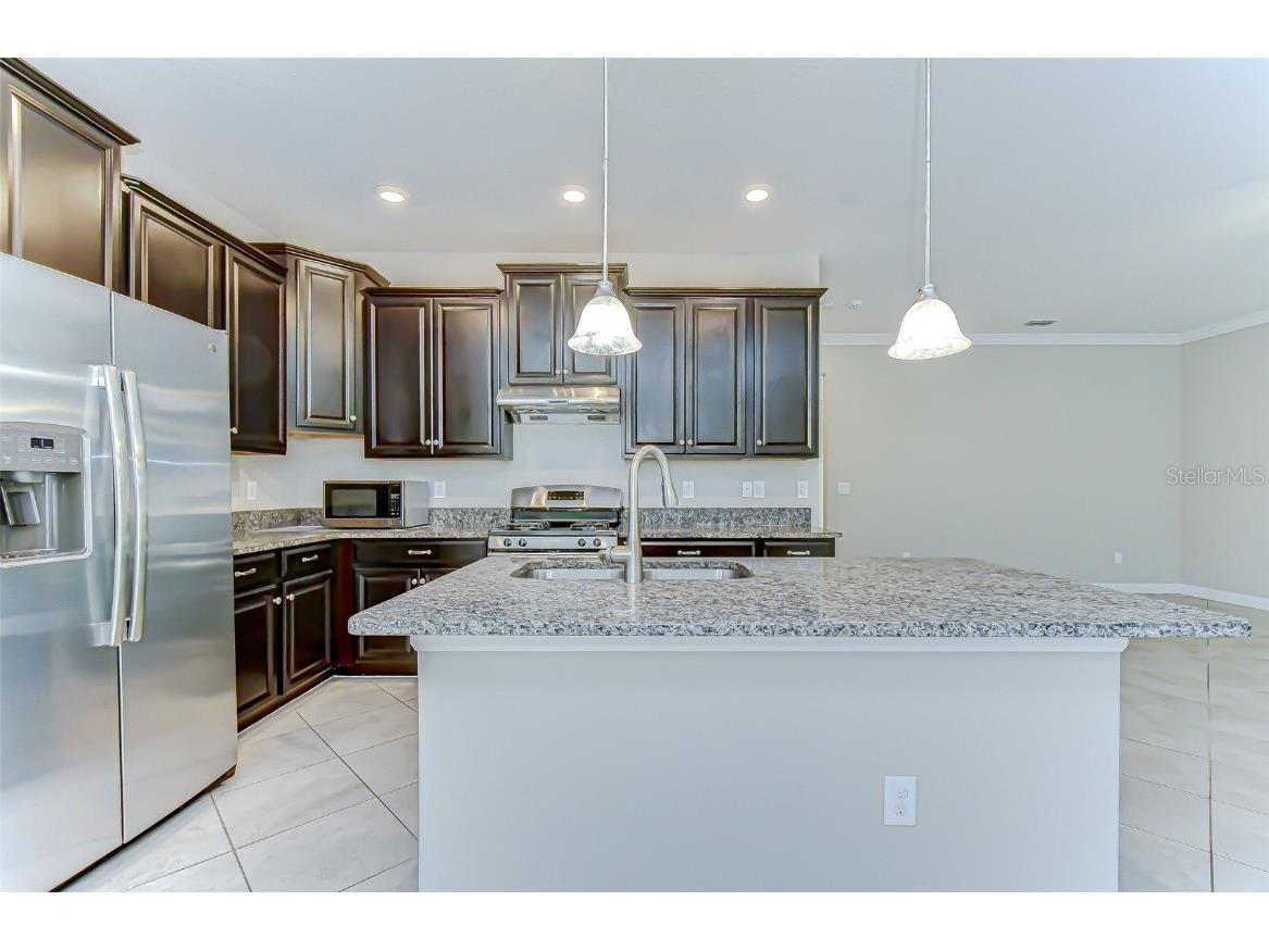 2281 Livorno Way Land O Lakes FL 34639 TB8453114 image26