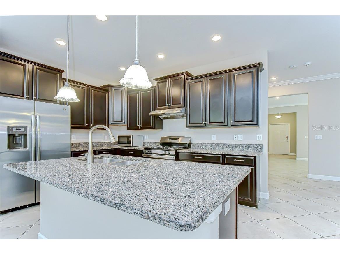 2281 Livorno Way Land O Lakes FL 34639 TB8453114 image27