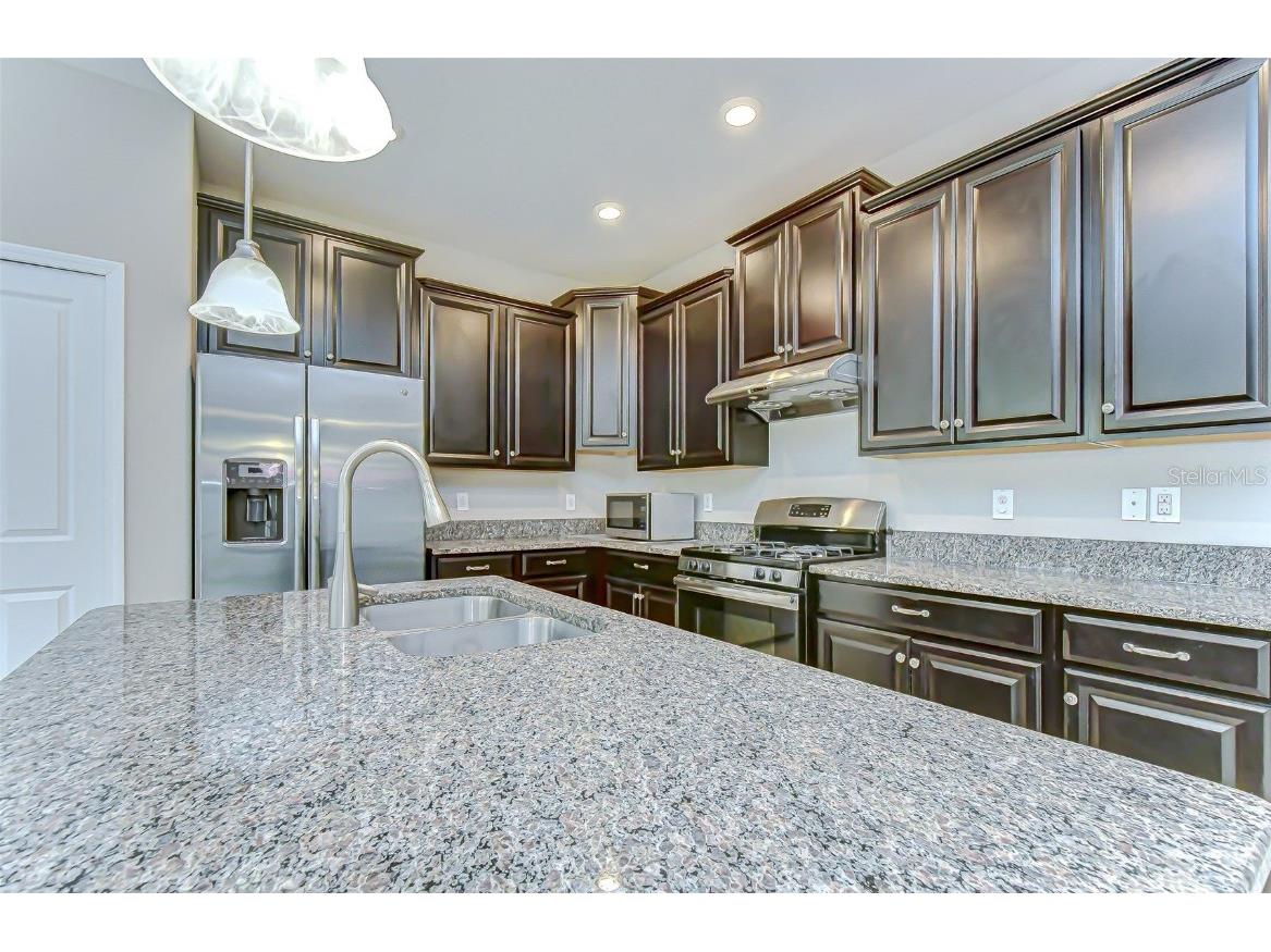 2281 Livorno Way Land O Lakes FL 34639 TB8453114 image30