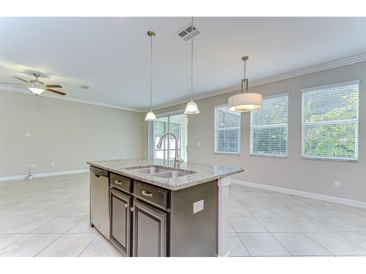 2281 Livorno Way Land O Lakes FL 34639 TB8453114 image33