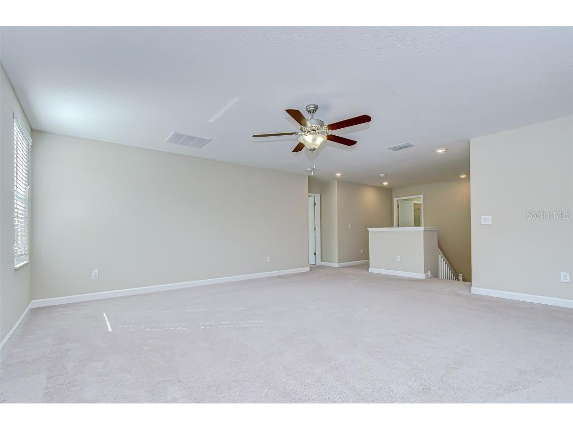 2281 Livorno Way Land O Lakes FL 34639 TB8453114 image38