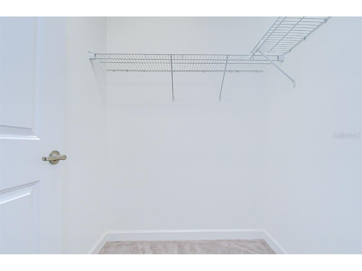 2281 Livorno Way Land O Lakes FL 34639 TB8453114 image46