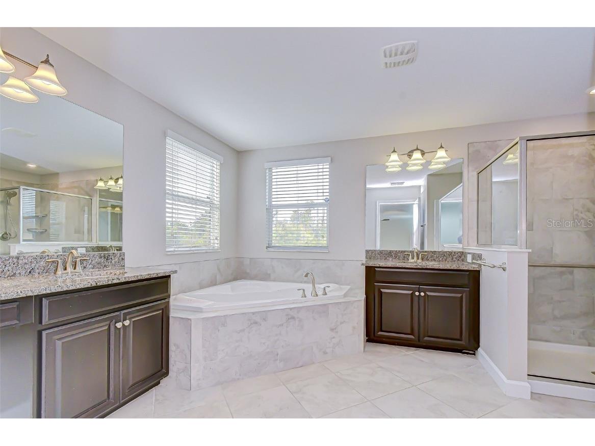 2281 Livorno Way Land O Lakes FL 34639 TB8453114 image50