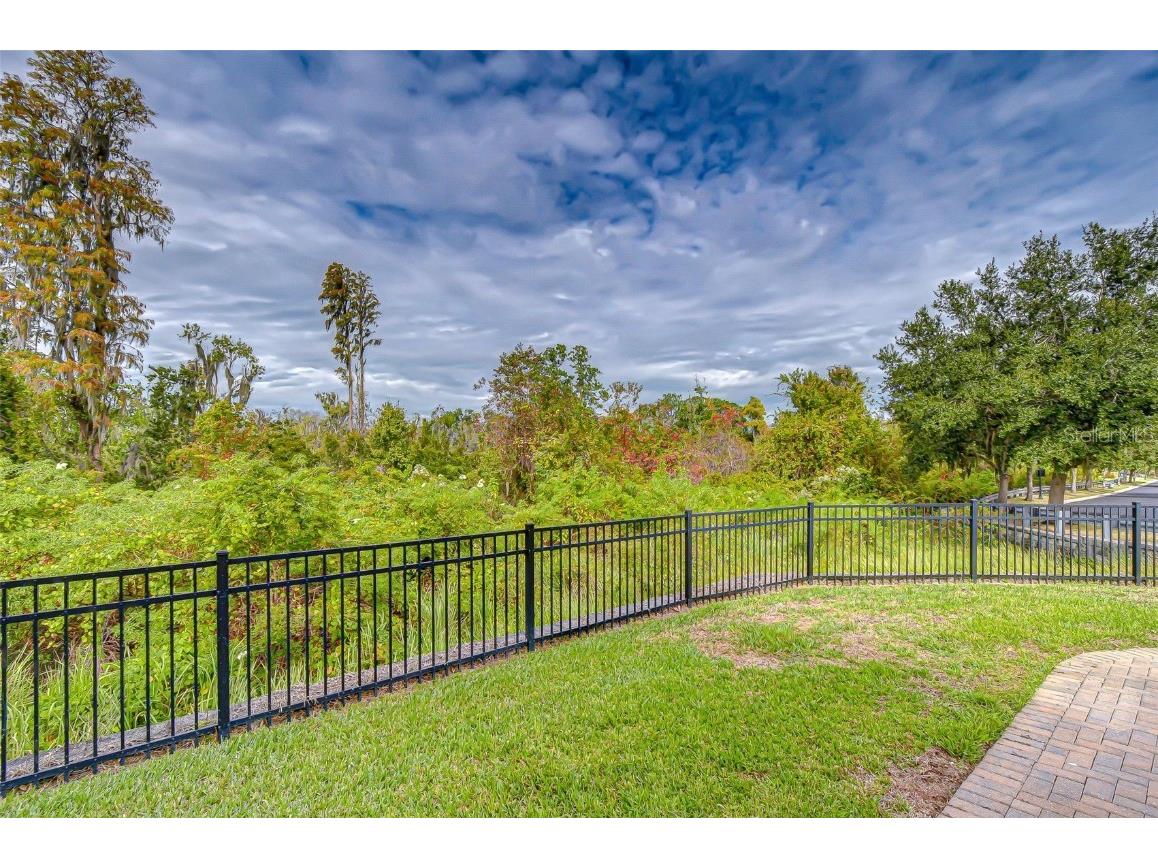 2281 Livorno Way Land O Lakes FL 34639 TB8453114 image56