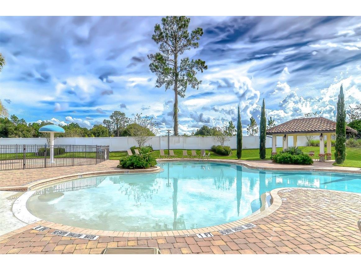 2281 Livorno Way Land O Lakes FL 34639 TB8453114 image59