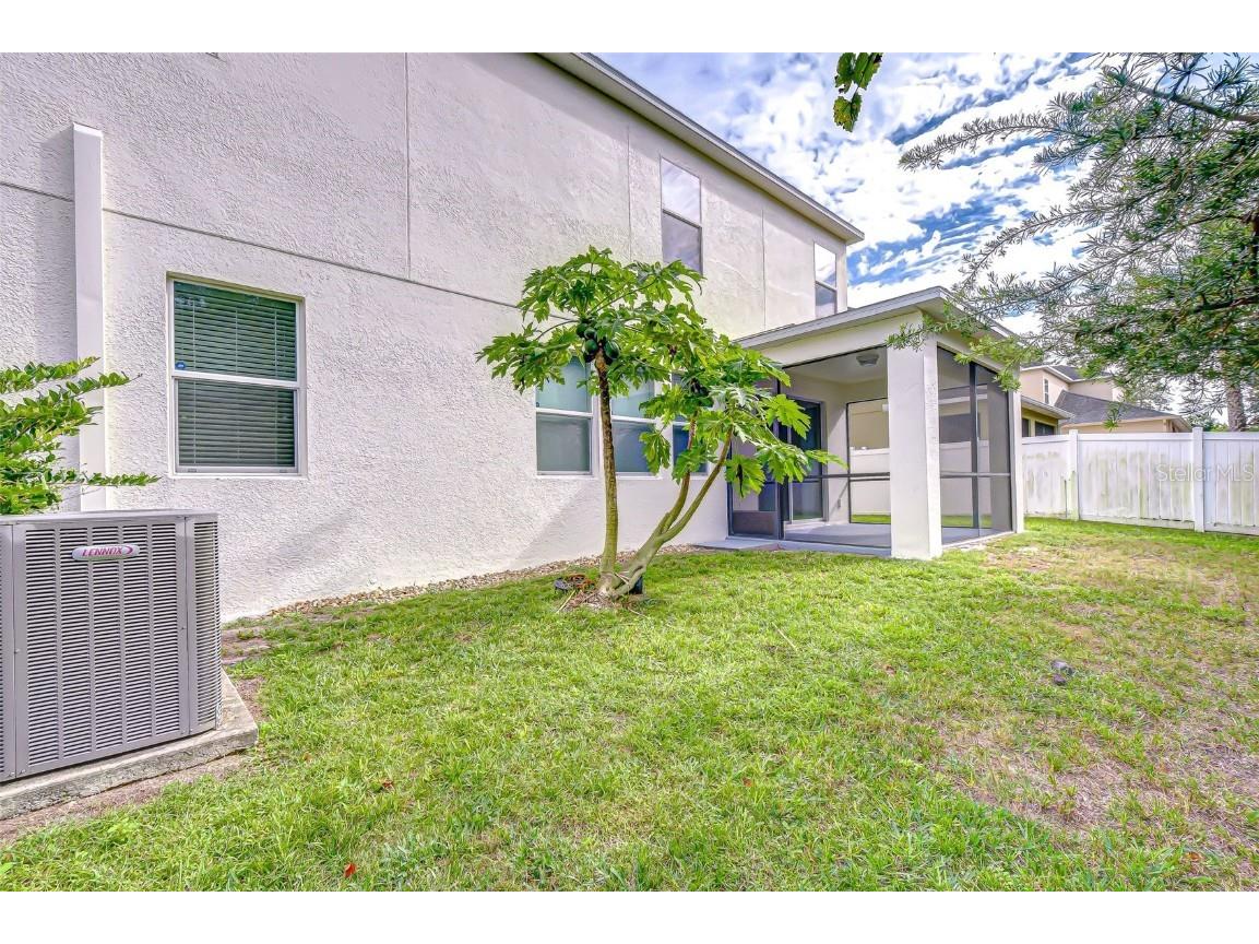 2281 Livorno Way Land O Lakes FL 34639 TB8453114 image67