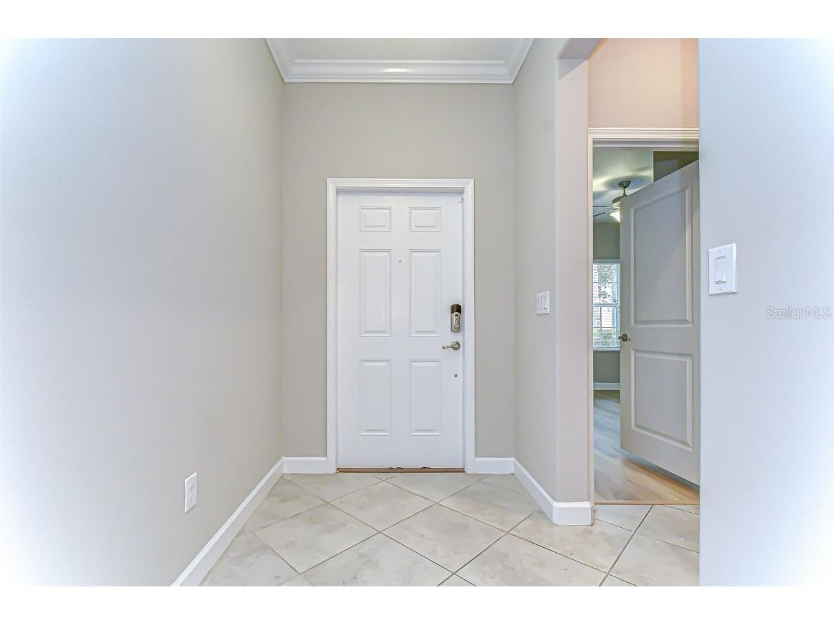 2281 Livorno Way Land O Lakes FL 34639 TB8453114 image8