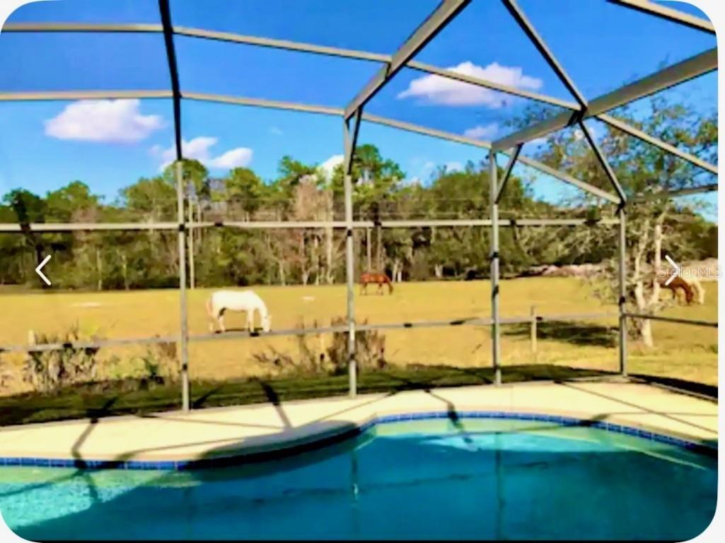 2281 Royal Ridge Drive Davenport FL 33896 S5129219 image17