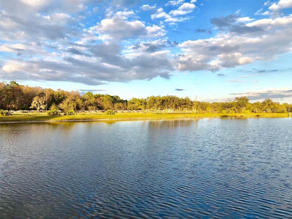 2281 Royal Ridge Drive Davenport FL 33896 S5129219 image24