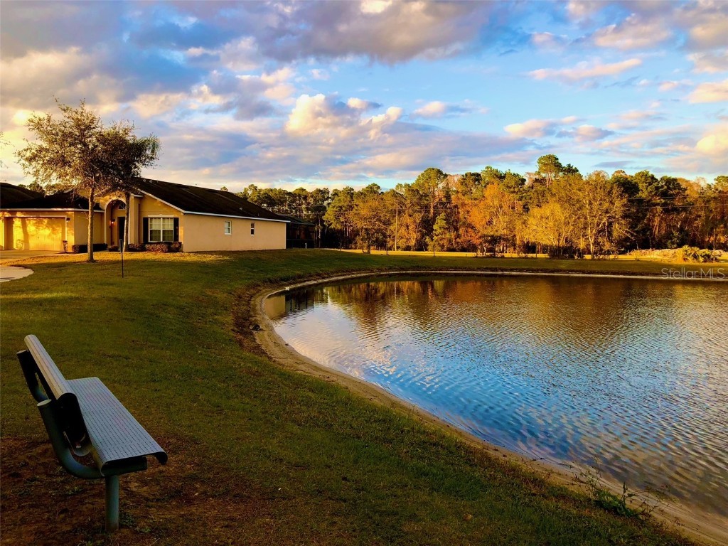 2281 Royal Ridge Drive Davenport FL 33896 S5129219 image28