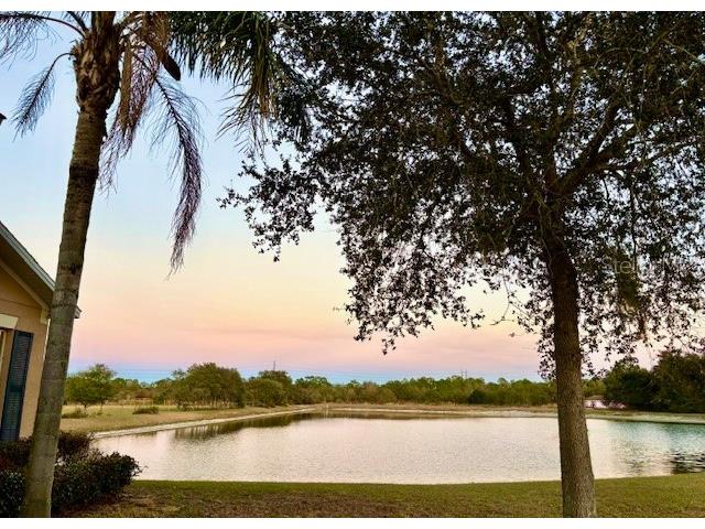 2281 Royal Ridge Drive Davenport FL 33896 S5141777 image27