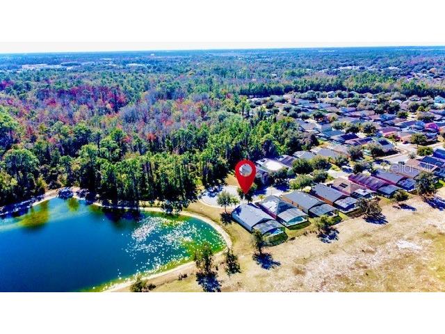 2281 Royal Ridge Drive Davenport FL 33896 S5141777 image58