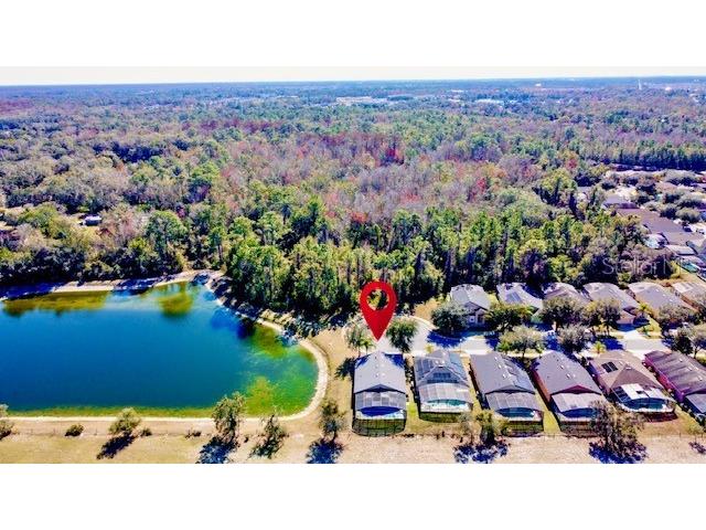 2281 Royal Ridge Drive Davenport FL 33896 S5141777 image59