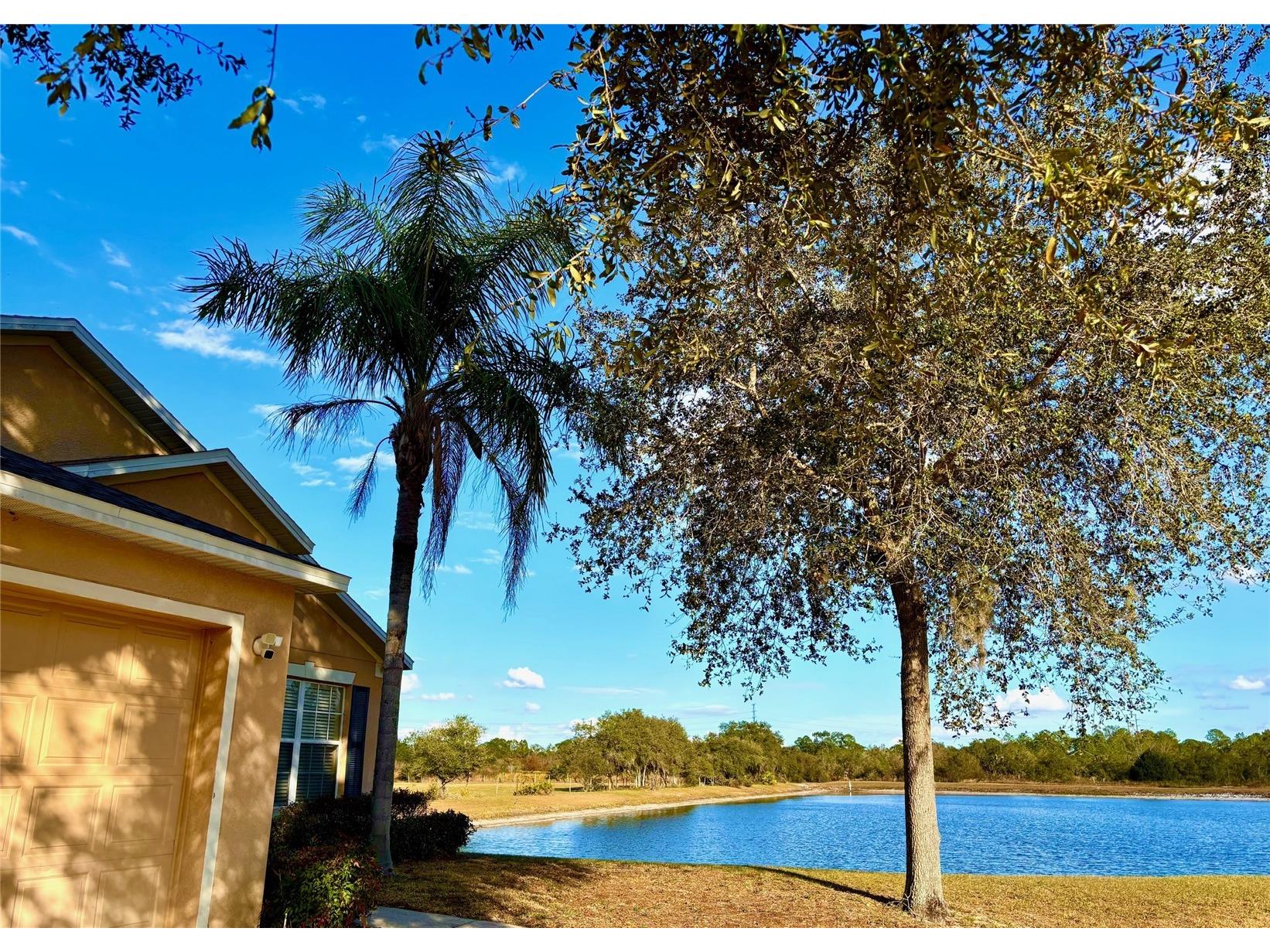 2281 Royal Ridge Drive Davenport FL 33896 S5141777 image64