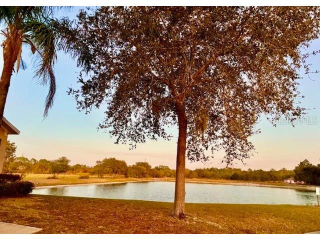 2281 Royal Ridge Drive Davenport FL 33896 S5141777 image65