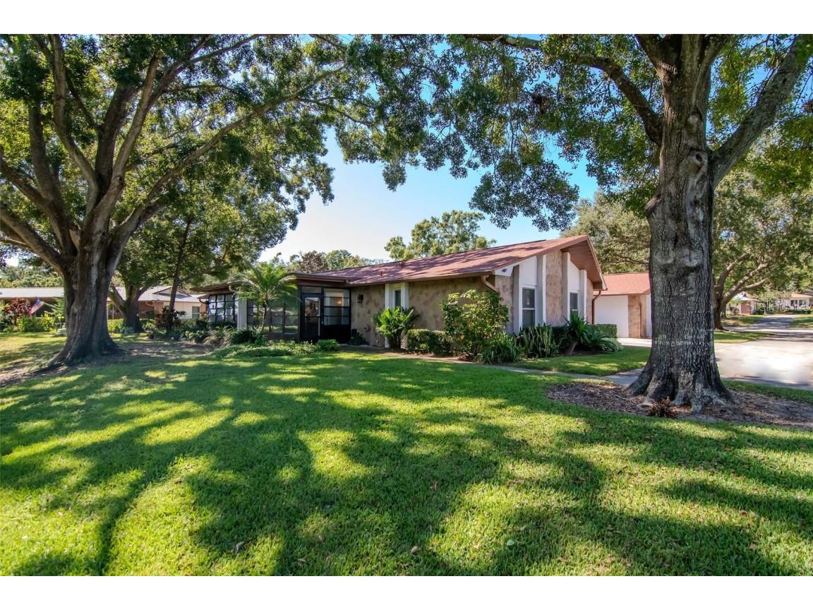 2281 Shelly Drive #D Palm Harbor FL 34684 - LAKE TARPON TB8443851 image2