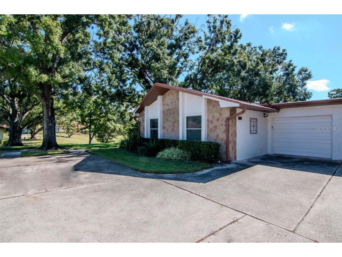 2281 Shelly Drive #D Palm Harbor FL 34684 - LAKE TARPON TB8443851 image3