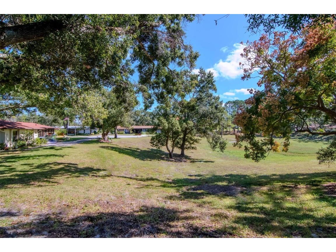 2281 Shelly Drive #D Palm Harbor FL 34684 - LAKE TARPON TB8443851 image33