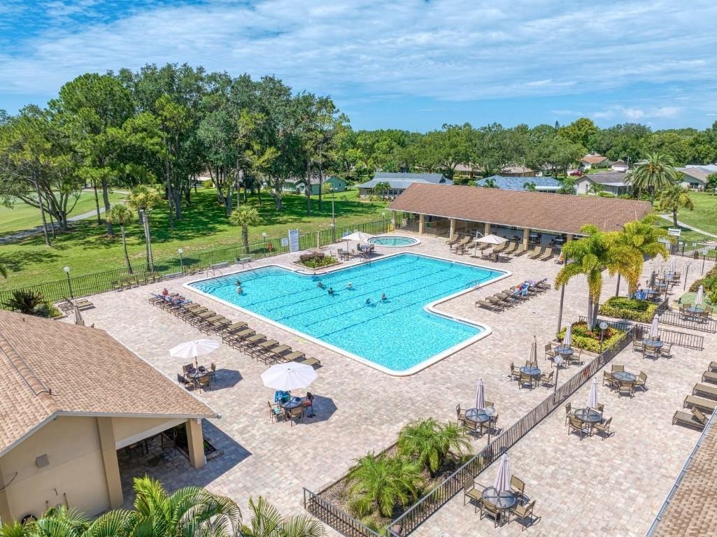 2281 Shelly Drive #D Palm Harbor FL 34684 - LAKE TARPON TB8443851 image38