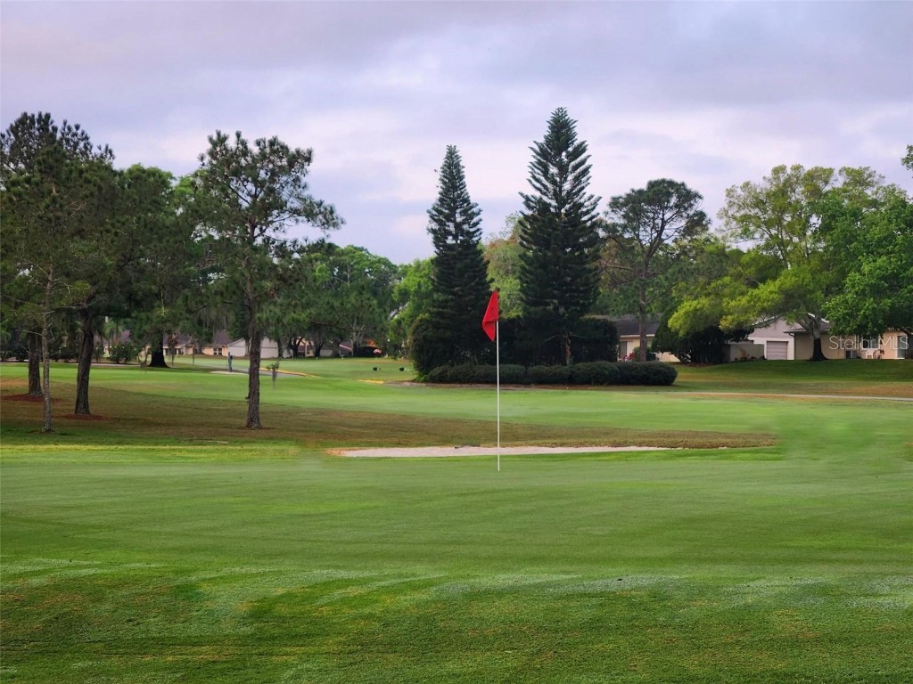 2281 Shelly Drive #D Palm Harbor FL 34684 - LAKE TARPON TB8443851 image43