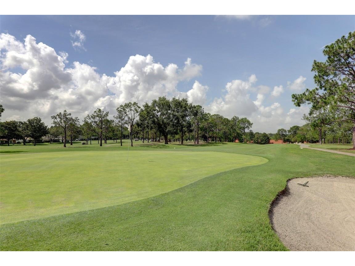 2281 Shelly Drive #D Palm Harbor FL 34684 - LAKE TARPON TB8443851 image44