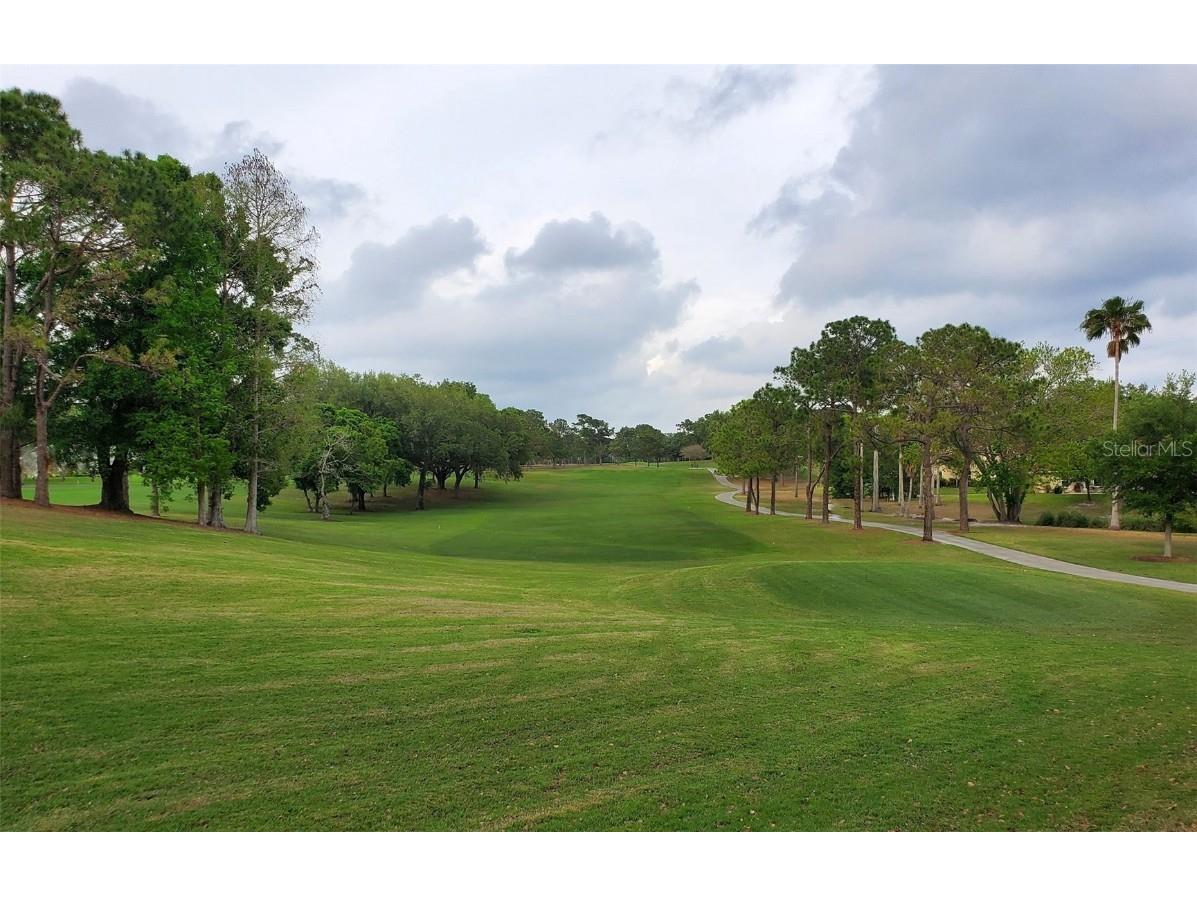 2281 Shelly Drive #D Palm Harbor FL 34684 - LAKE TARPON TB8443851 image46