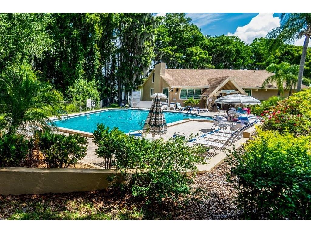 2281 Shelly Drive #D Palm Harbor FL 34684 - LAKE TARPON TB8443851 image51