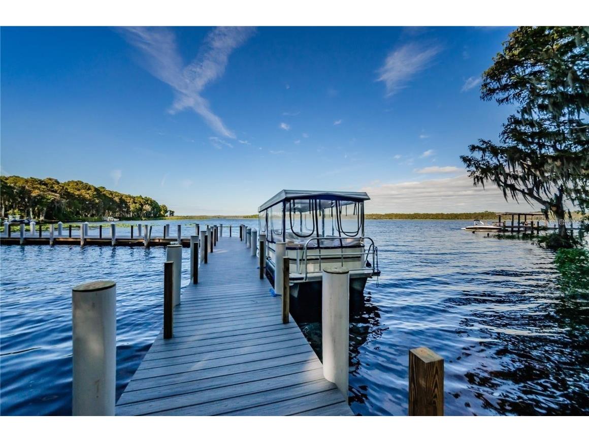 2281 Shelly Drive #D Palm Harbor FL 34684 - LAKE TARPON TB8443851 image53