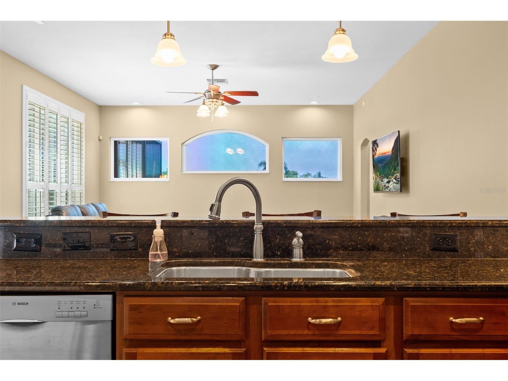 22810 Collridge Drive Land O Lakes FL 34639 TB8492391 image19