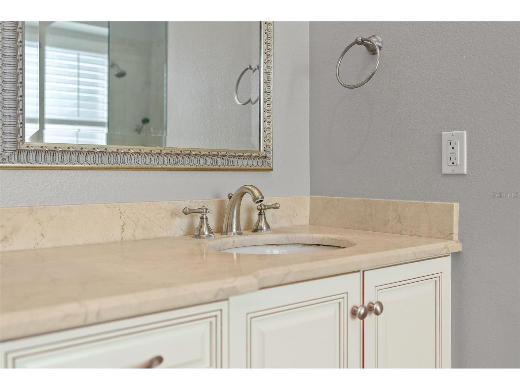 22810 Collridge Drive Land O Lakes FL 34639 TB8492391 image37