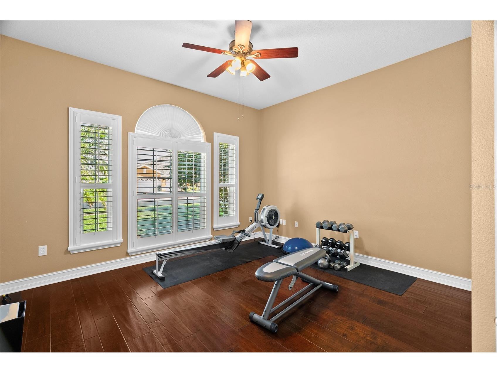22810 Collridge Drive Land O Lakes FL 34639 TB8492391 image41