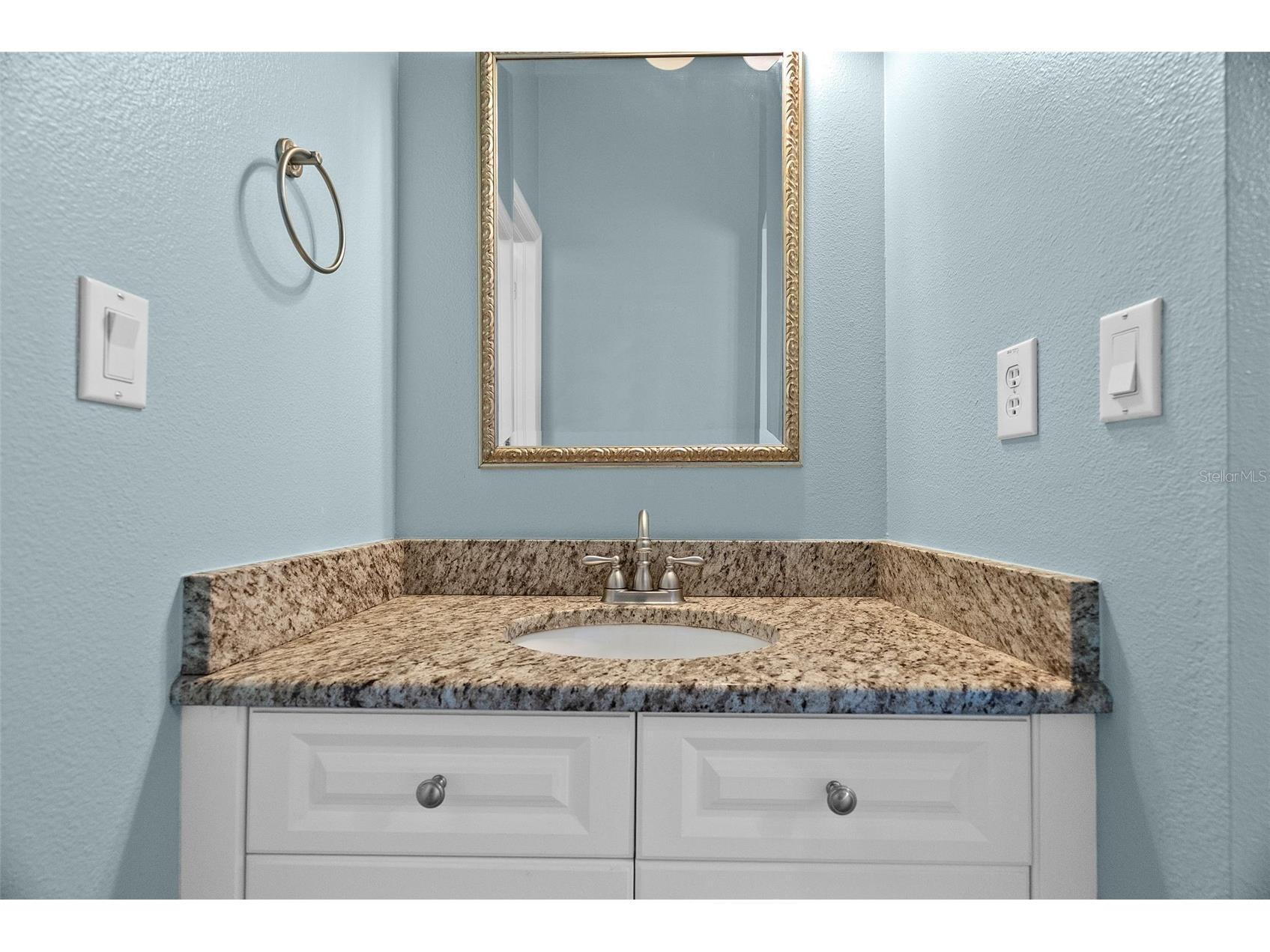 22810 Collridge Drive Land O Lakes FL 34639 TB8492391 image53