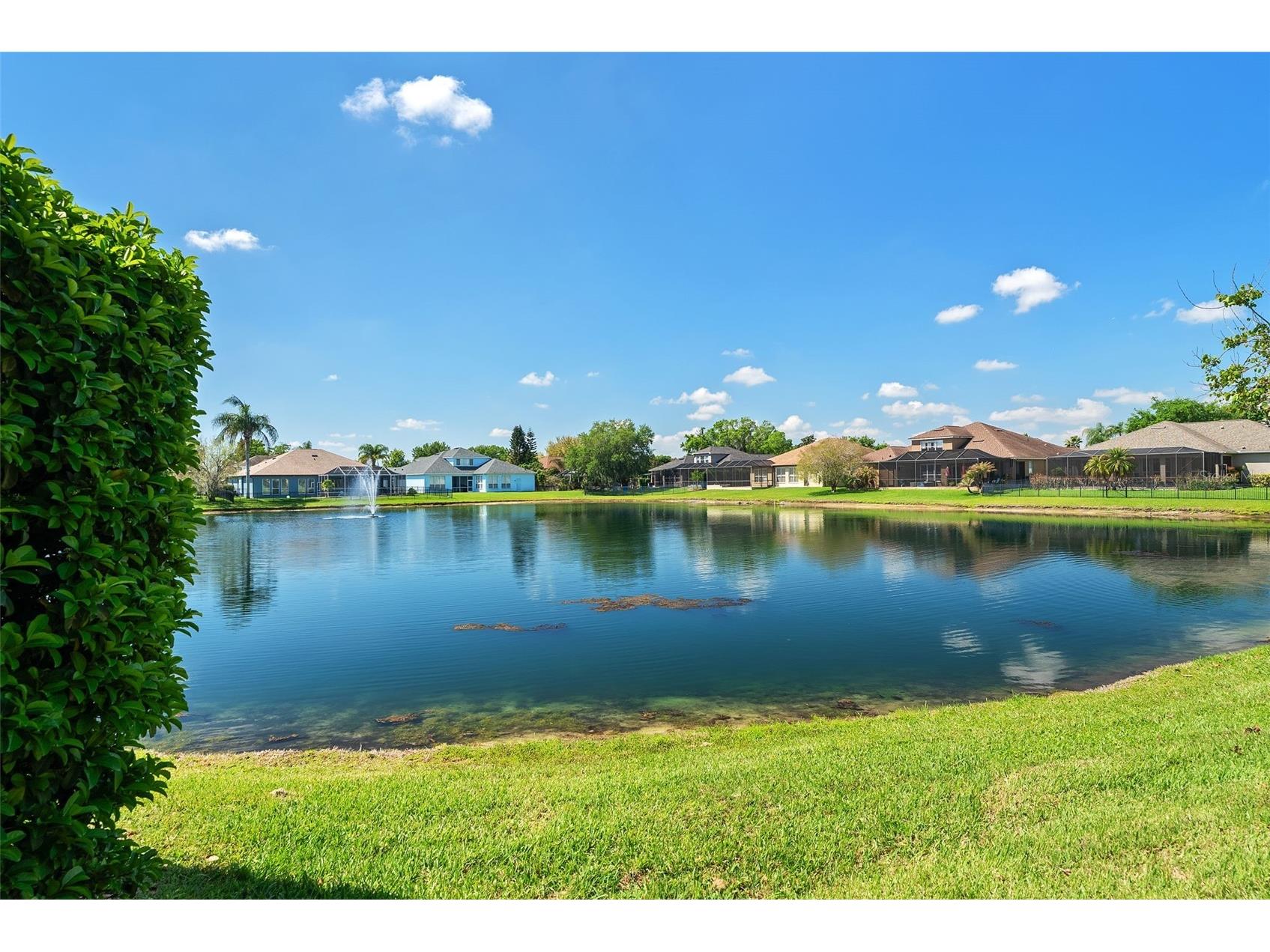 22810 Collridge Drive Land O Lakes FL 34639 TB8492391 image67