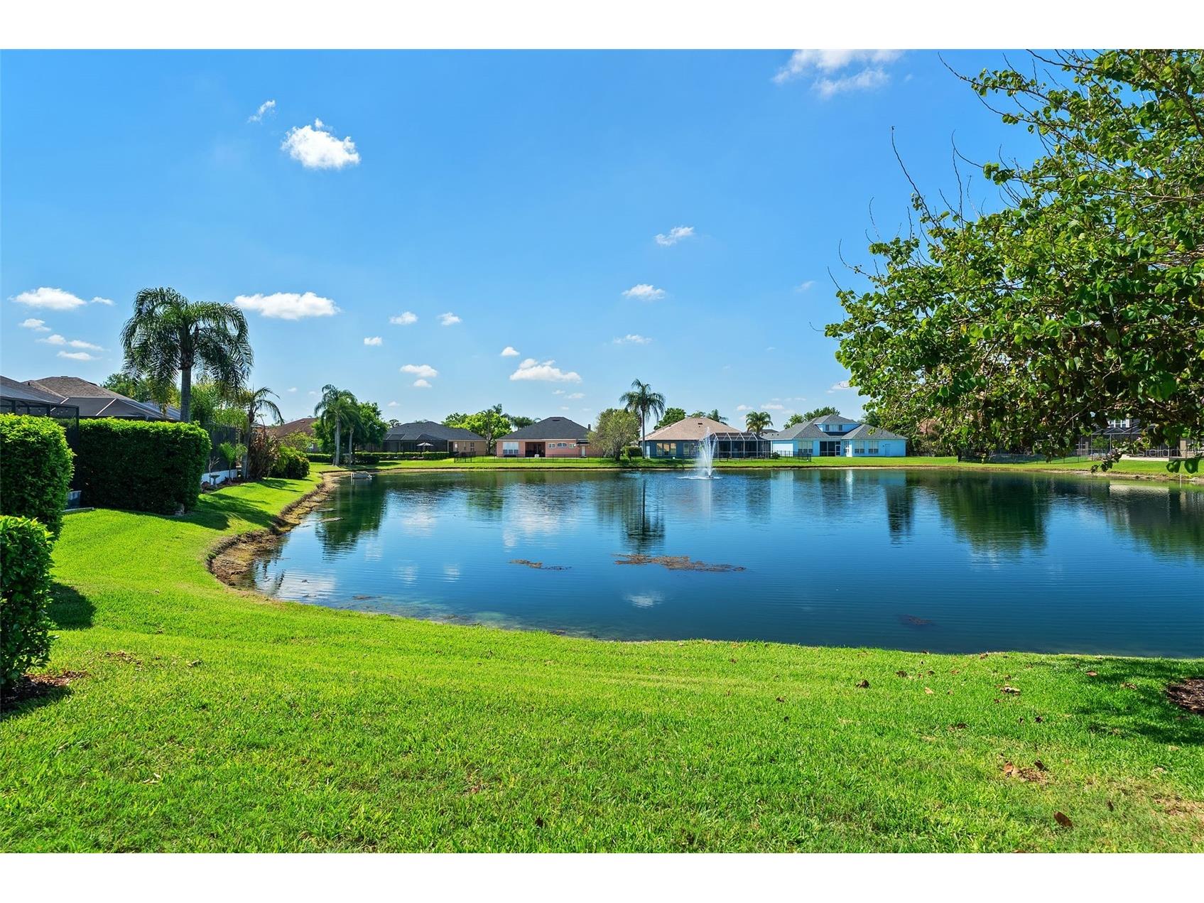 22810 Collridge Drive Land O Lakes FL 34639 TB8492391 image68
