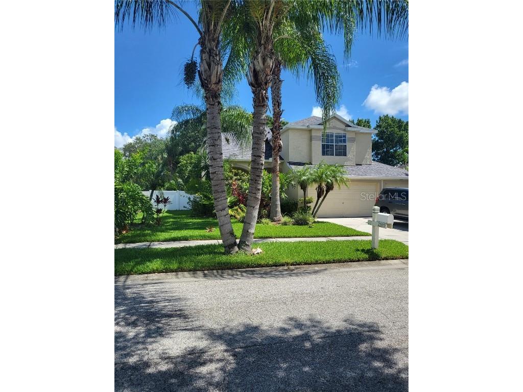 22819 Eagles Watch Drive Land O Lakes FL 34639 T3457758 image1