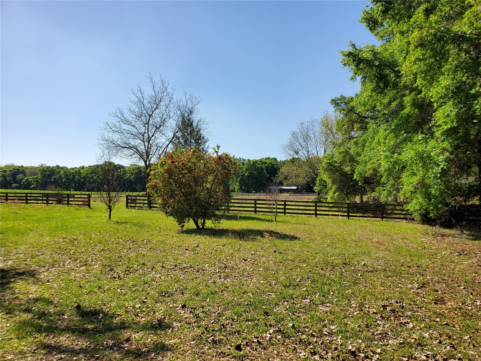 22819 NW 209th Terrace High Springs FL 32643 GC542013 image18