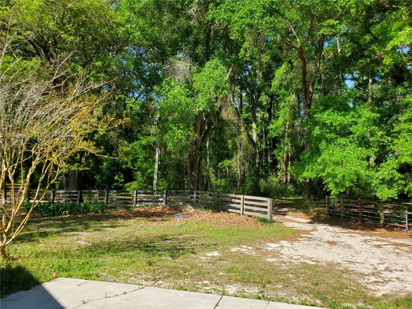 22819 NW 209th Terrace High Springs FL 32643 GC542013 image21