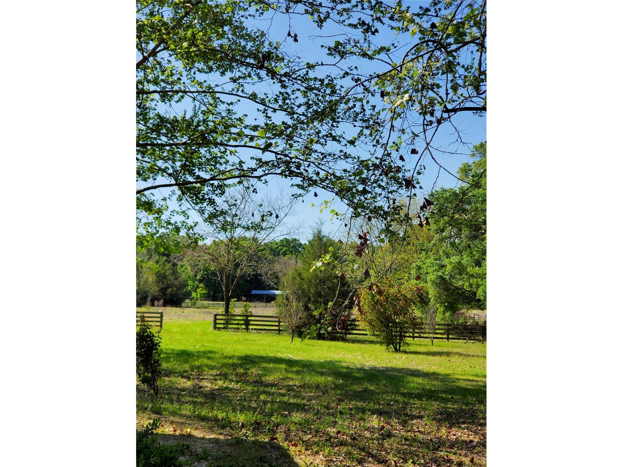 22819 NW 209th Terrace High Springs FL 32643 GC542013 image23