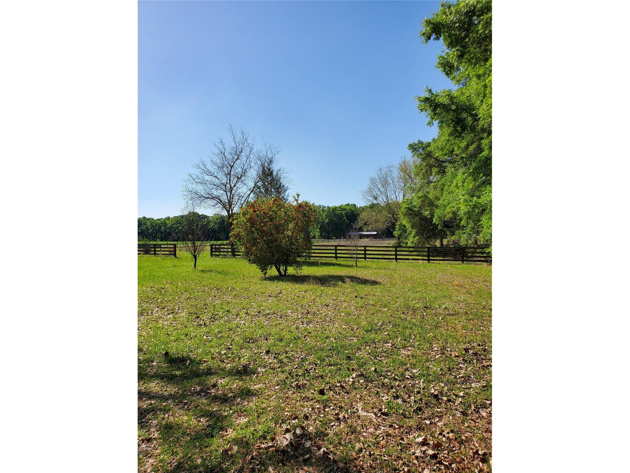 22819 NW 209th Terrace High Springs FL 32643 GC542013 image24