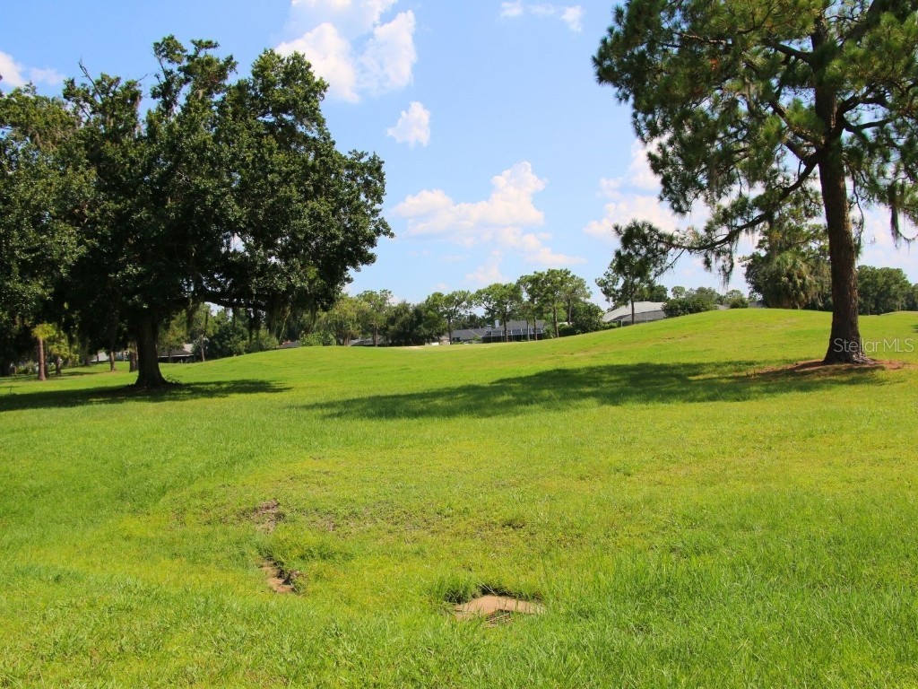 2282 Firestone Place Winter Haven FL 33884 P4935397 image28