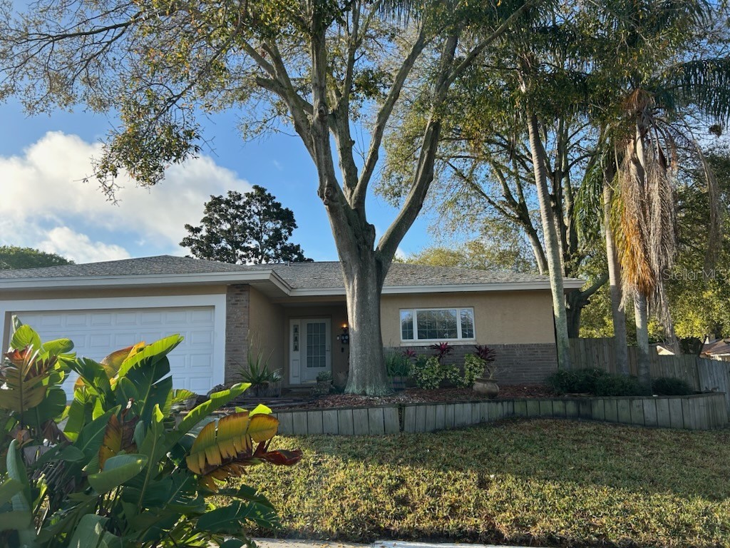 2282 Grovecrest Avenue Palm Harbor FL 34683 U8233016 image1