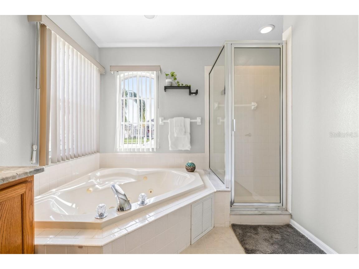 22825 Sills Loop Land O Lakes FL 34639 TB8456743 image31