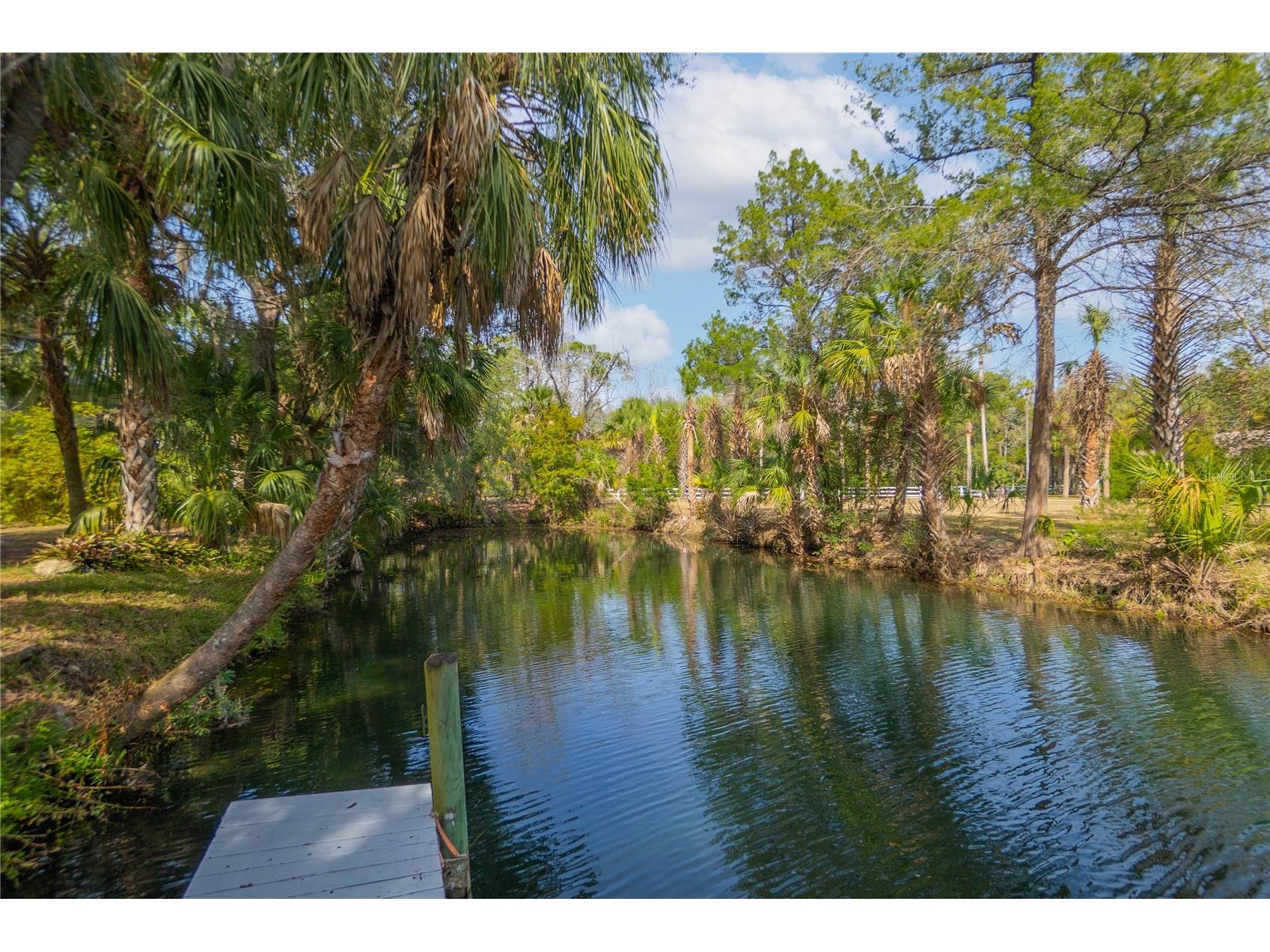 2283 S Todd Point Homosassa FL 34448 OM723433 image44