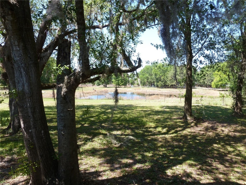 22839 Bungalow Lane Land O Lakes FL 34639 TB8390406 image13