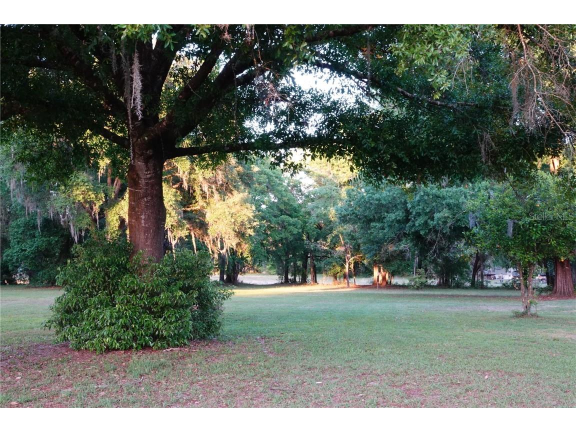 22839 Bungalow Lane Land O Lakes FL 34639 TB8390406 image19