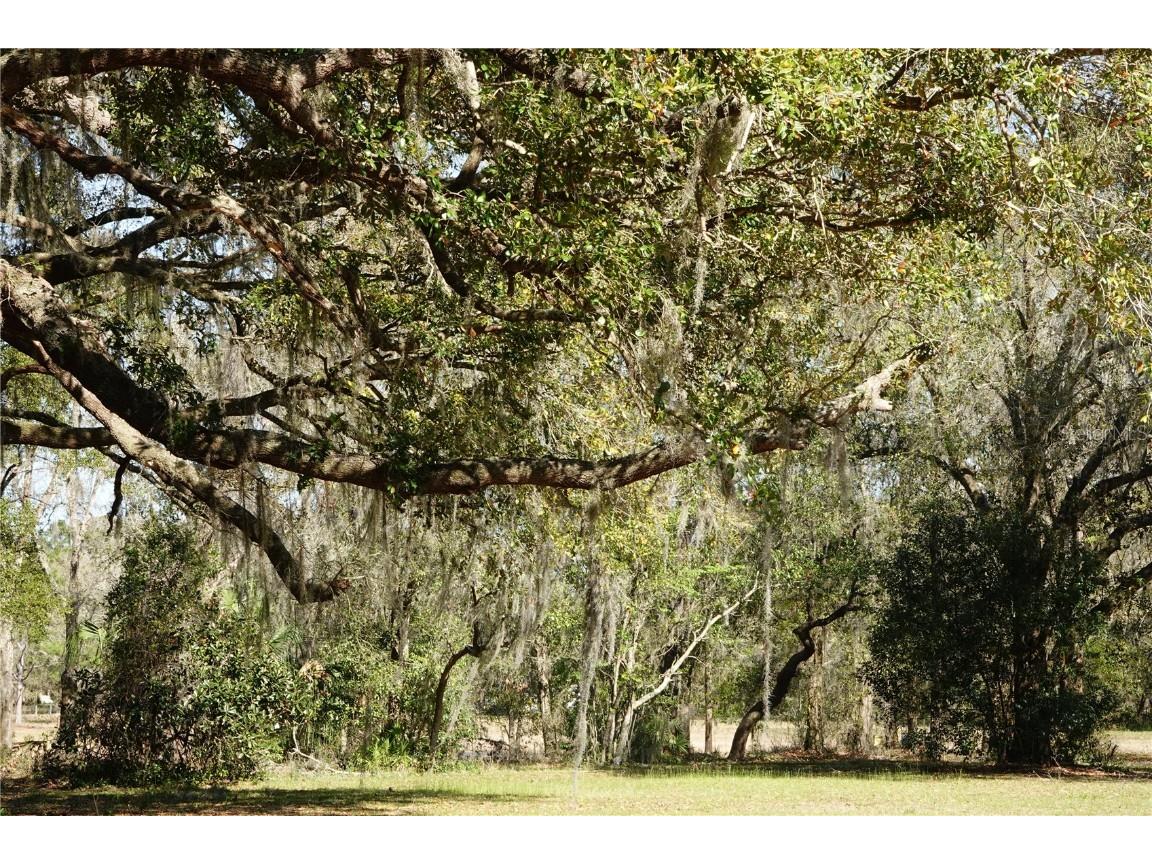 22839 Bungalow Lane Land O Lakes FL 34639 TB8390406 image28